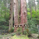 成田市　肩こり　リンパデトックスと骨盤矯正の組み合わせ