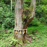 成田市整体　骨盤矯正